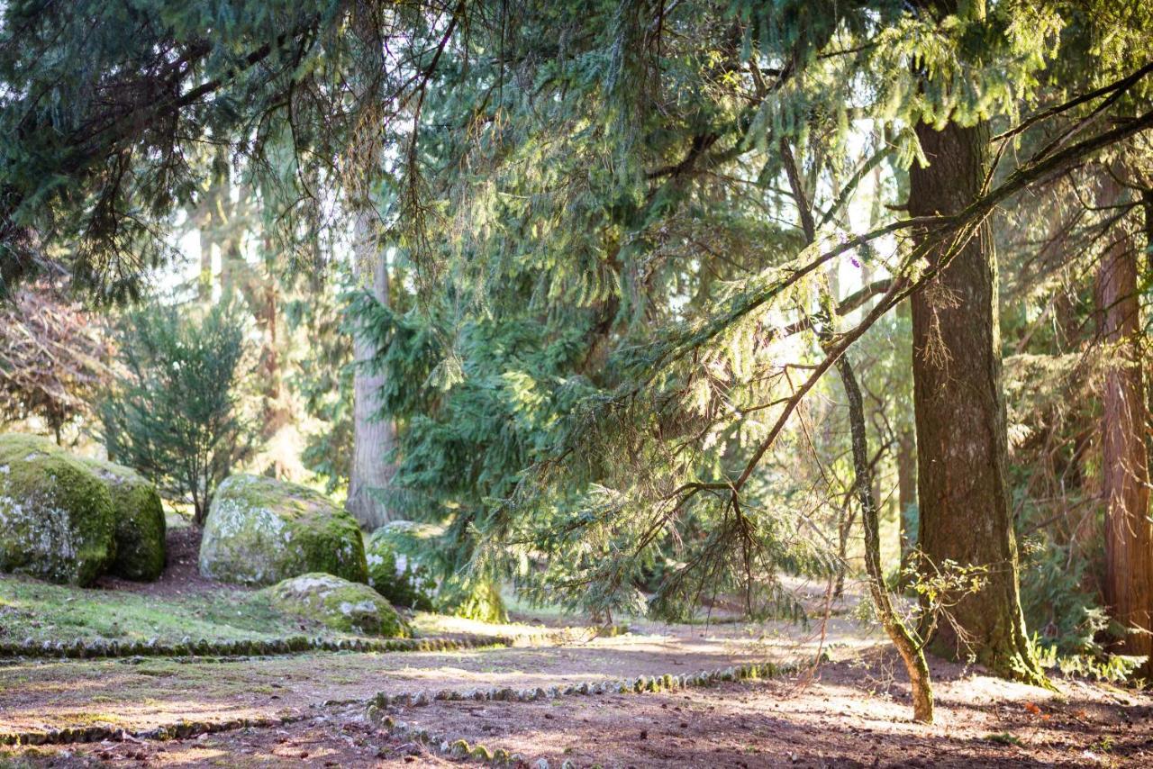 غيمارايش The Grove Houses المظهر الخارجي الصورة