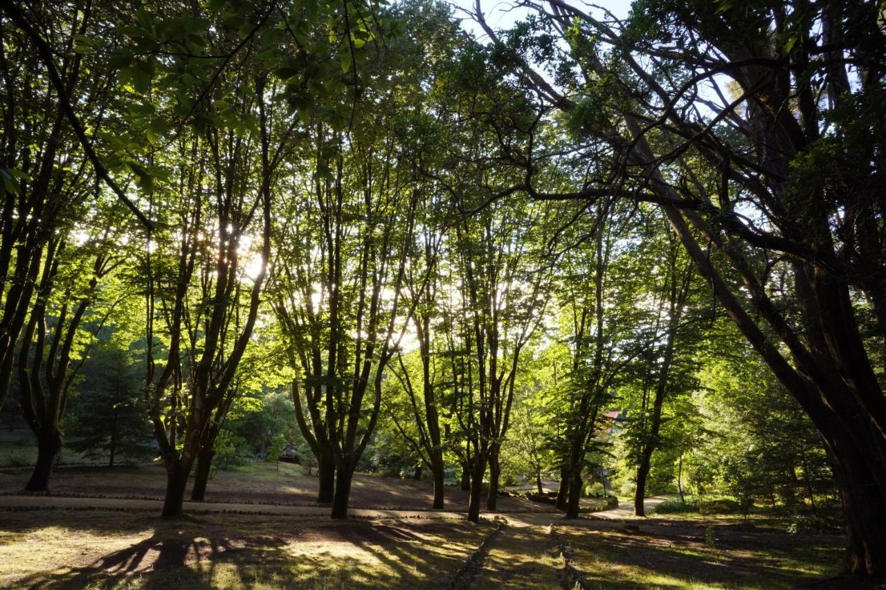 غيمارايش The Grove Houses المظهر الخارجي الصورة