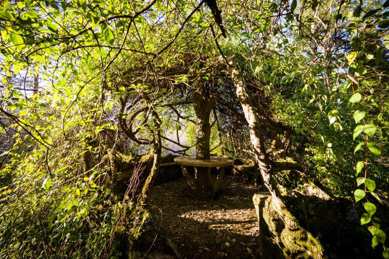 غيمارايش The Grove Houses المظهر الخارجي الصورة