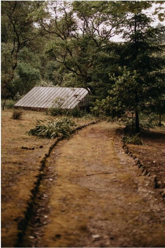 فندق غيمارايشفي  The Grove Houses المظهر الخارجي الصورة