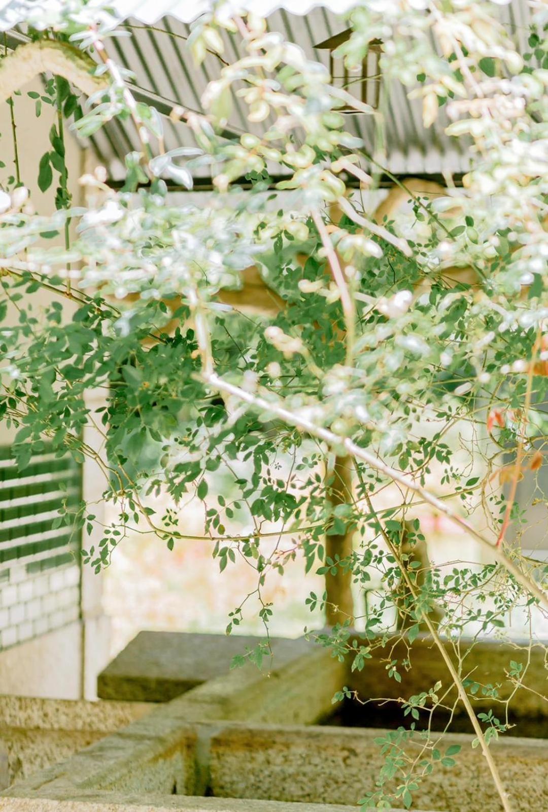 غيمارايش The Grove Houses المظهر الخارجي الصورة